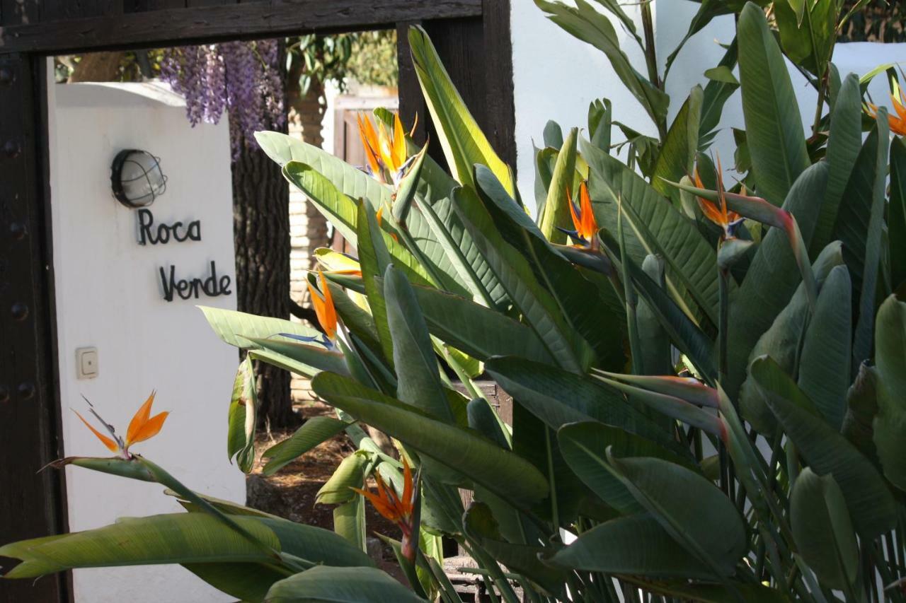 Roca Verde, Boutique Bed&Breakfast Alhaurín de la Torre Exterior foto