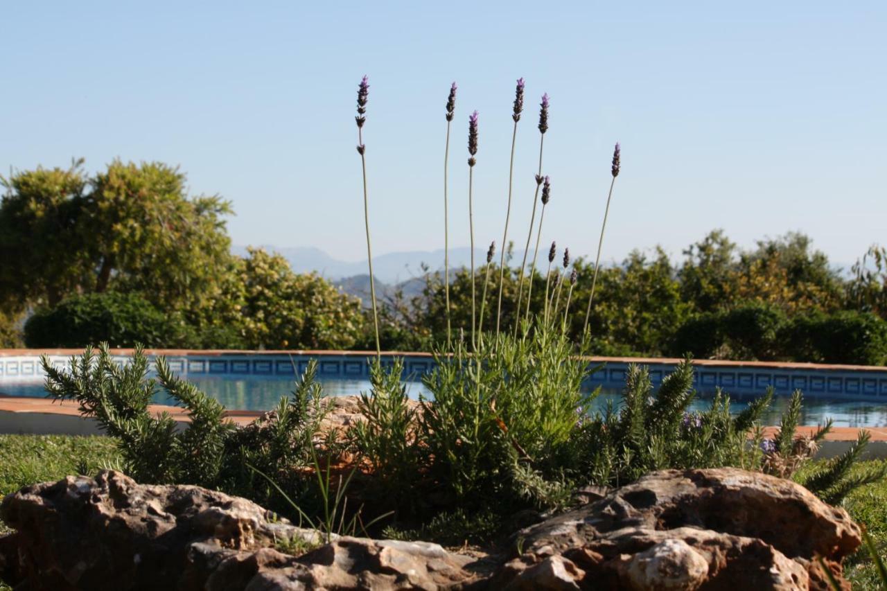 Roca Verde, Boutique Bed&Breakfast Alhaurín de la Torre Exterior foto
